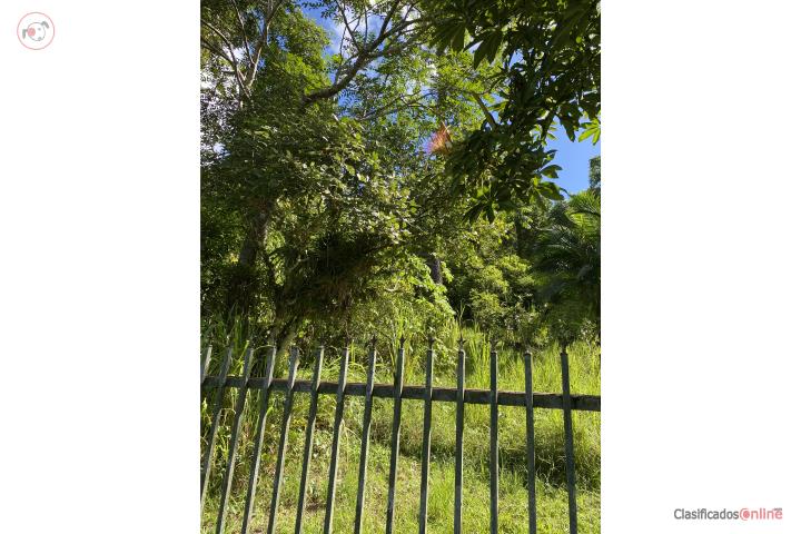 Colinas de Cubuy
