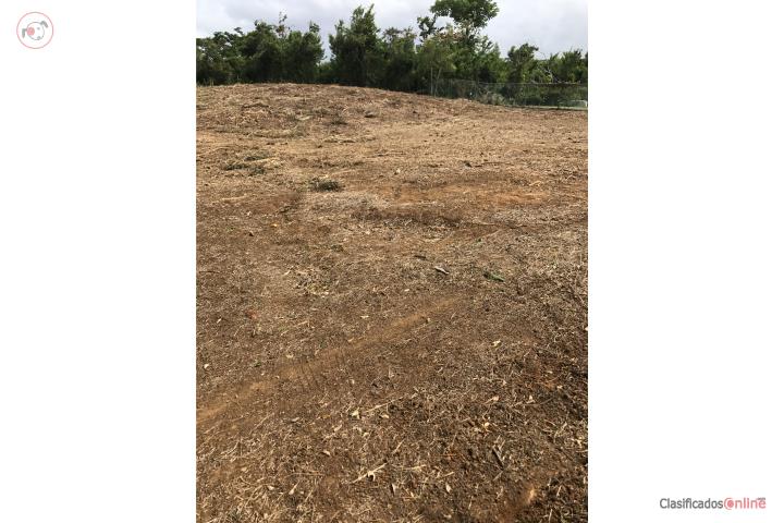 Lot in Cercadillo, Arecibo