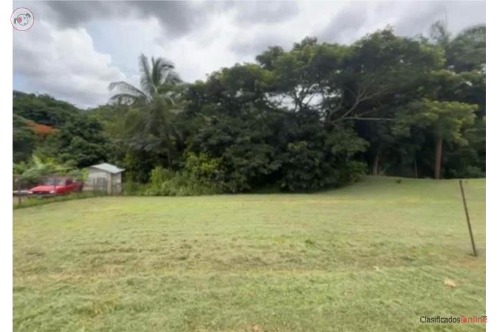 Lot in Quebrada Cruz, Toa Alta