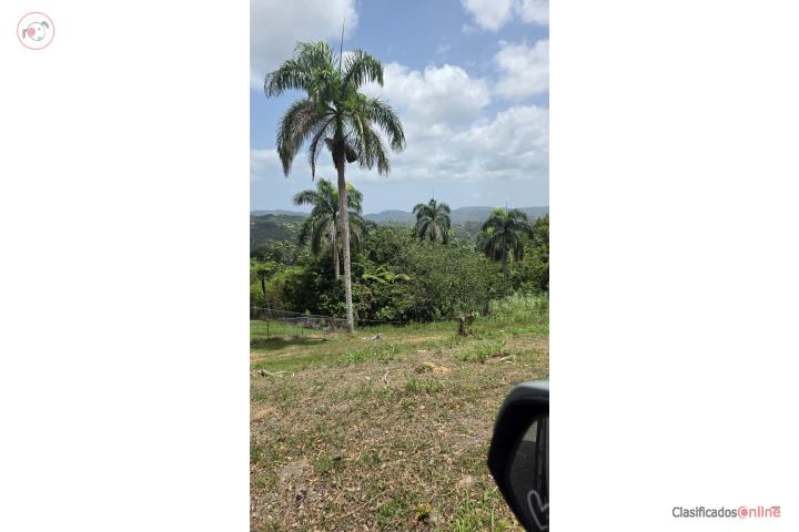 Lot in Cidra, Cidra