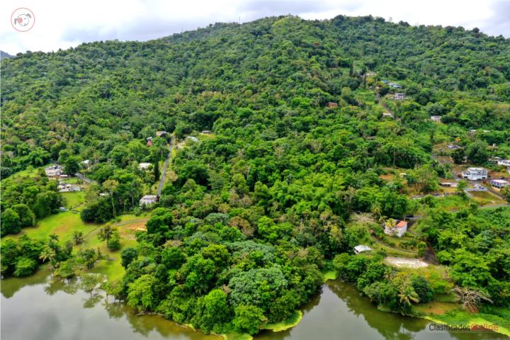 10 CUERDAS DE TERRENO GURABO FRENTE AL LAGO