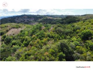 Hermoso Terreno de 8 Cuertas Panorami...
