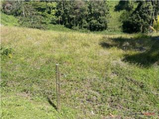 Solar de 1,600 m/c