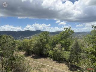 Finca Area Metro