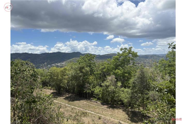 Finca Area Metro
