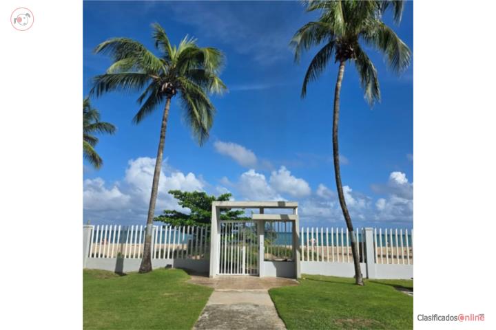Tourist Area Walking Distance To The Beach