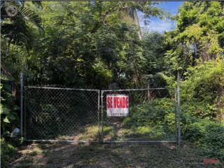 Excelente finca para su desarrollo
