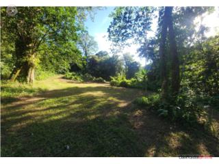 Finca de 8 cuerdas Coabey Jayuya