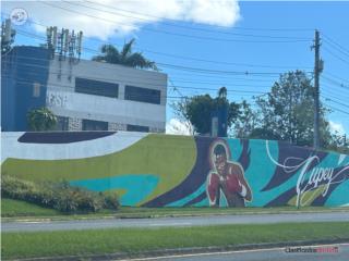 Carretera  199