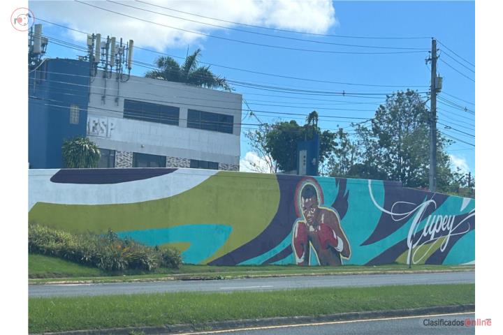 Commercial in Cupey, San Juan - Río Piedras