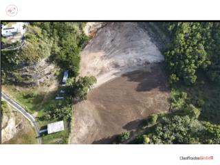5.9 Cuerdas Bo. Pugnado Adentro