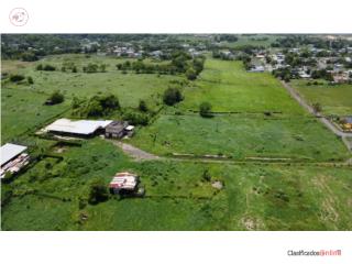 Finca Llana, Bo. Arenales-Isabela