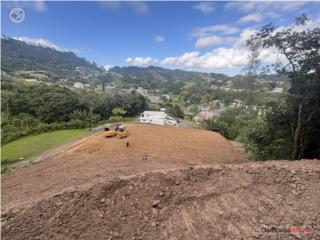 Terreno en Barranquitas Bo.Barrancas ...