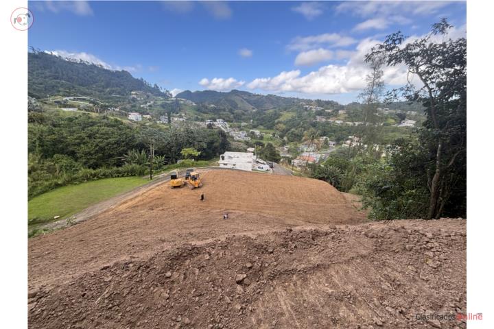 Terreno en Barranquitas Bo.Barrancas carr.771