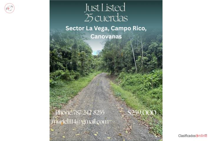 Venta de 25 cuerdas , Sector La Vega, Campo R