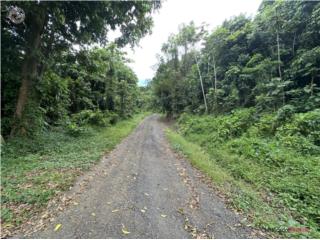 Finca de 25 cuerdas Sector La Vega, C...