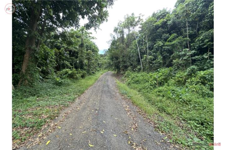 Finca de 25 cuerdas Sector La Vega, Campo Ric