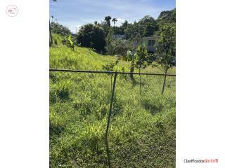 Se vende o se alquila solar