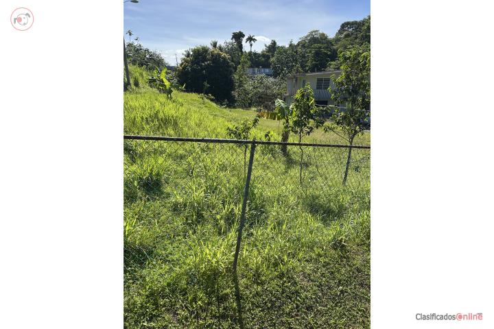 Se vende o se alquila solar