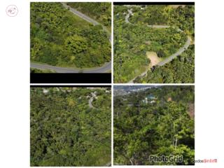 Finca