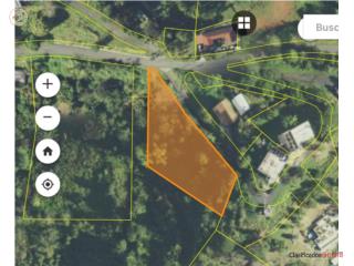 Solar en VENTA - Barrio Masas, Gurabo