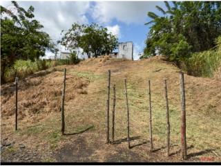 Solar, Barrio Collores 4843pc-sqft