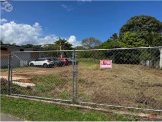 VENTA DE FINCA, BO. FACTOR, ARECIBO