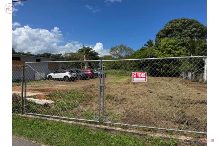 VENTA DE FINCA, BO. FACTOR, ARECIBO