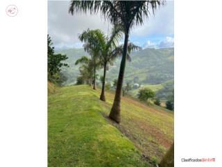 Finca de 7.38 cuerdas en Corozal