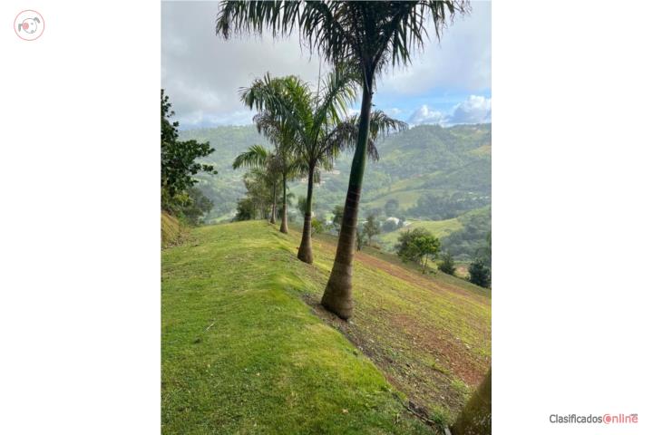 Farm in Mana, Corozal