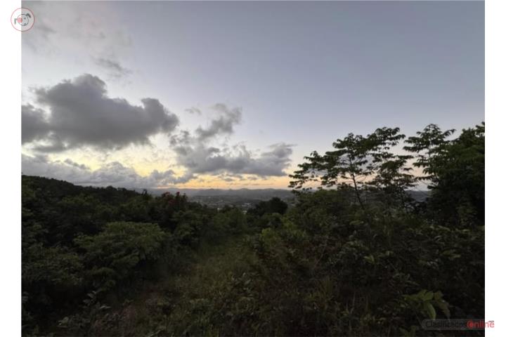REBAJADA en CAYEY 29 Cuerdas a 2min de PR-52