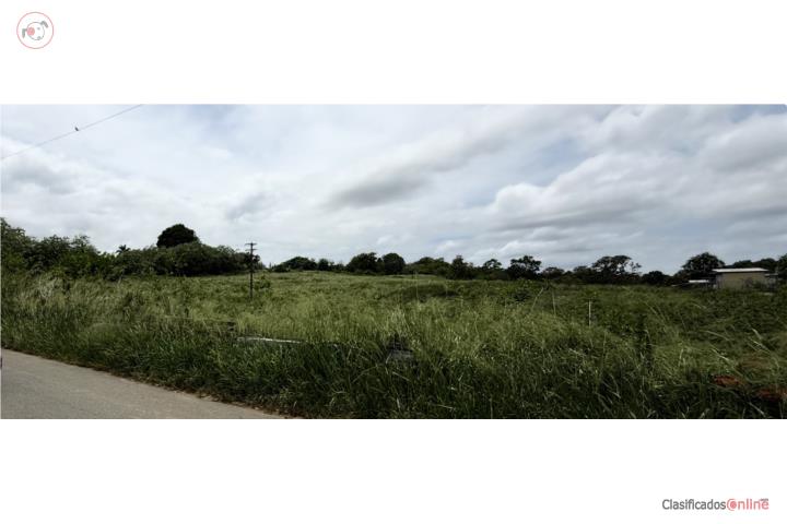 9.5 CUERDAS EN VENTA  HATILLO BO. NARANJITO
