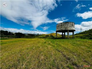 Bo. Aguirre, Finca 11.6 Cuerdas