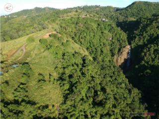 Bo. Perchas, Finca 102.5 Cuerdas