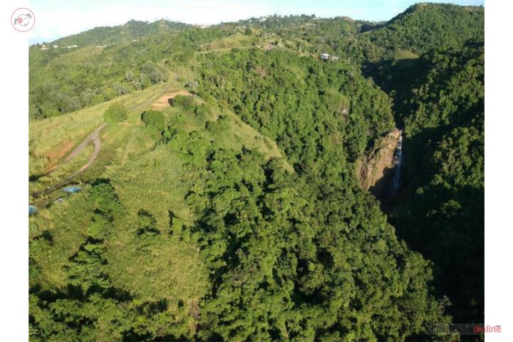 Farm in Perchas, Morovis