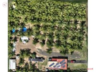 Hatillo, Finca Agroturistica Off-Grid
