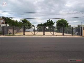 Solar venta o alquiler Vega Baja