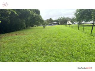 Terreno Llano Guaynabo LISTO a desarr...