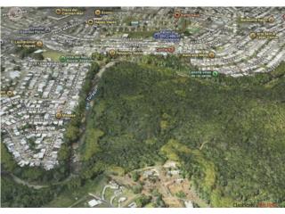 Barrio Turabo Gardens, Caguas