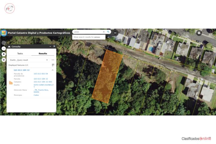 Lot in Pesas, Ciales