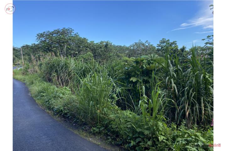 Farm in Montones, Las Piedras
