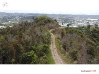 CAYEY 29 Cuerdas a 2min de PR-52