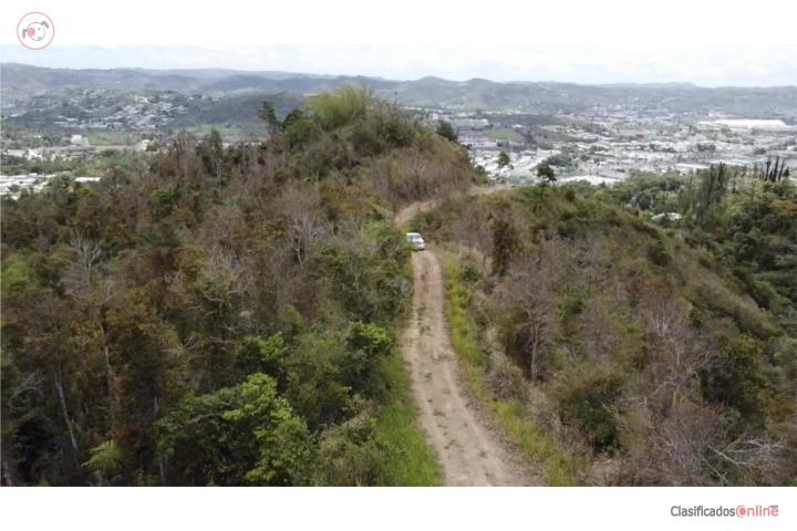 Farm in Alturas De Santa Maria, Cayey