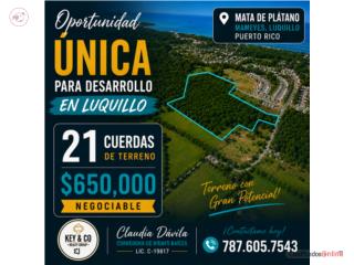 LUQUILLO - MAMEYES
