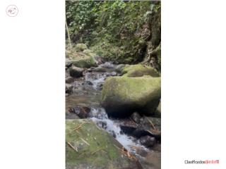 Finca 9.5 cuerdas