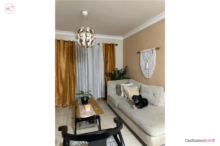 Apartment in Caparra Terrace, San Juan - Río Piedras