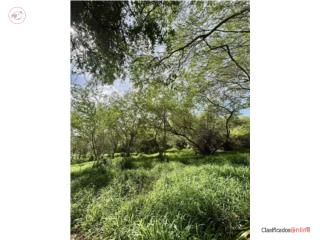 Finca - 6.08 cuerdas