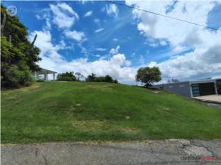 VENTA DE SOLAR  BO. MEMBRILLO, CAMUY