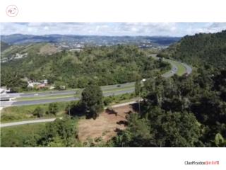 TERRENO EN ÁREA PRIVILEGIADA EN CAYEY...