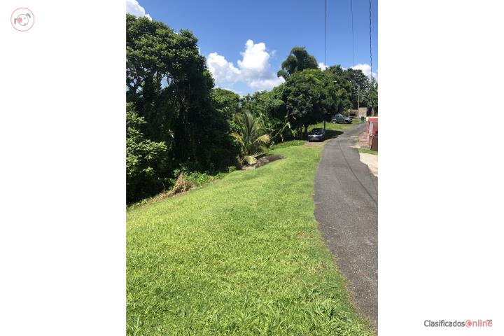 Farm in Montellano, Las Piedras